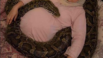 المرأة والافعي