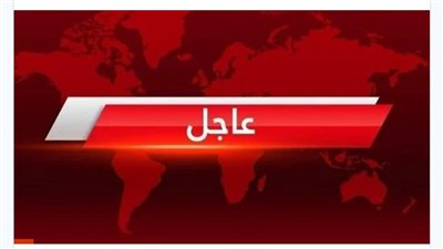 اطفالها التوأم