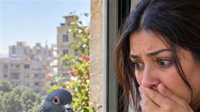الحمامه حكايات زهرة حصري